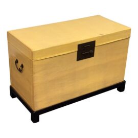 Chinese Lift-Top Yellow Leather Trunk