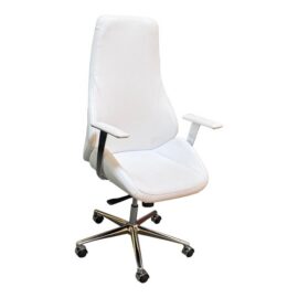 Euro Stye High Back Office Chair