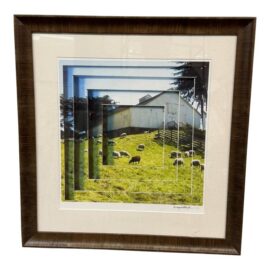 Maynard Hale Lyndon "Playful Ways of Seeing the Sea Ranch" Framed Photograph, Framed