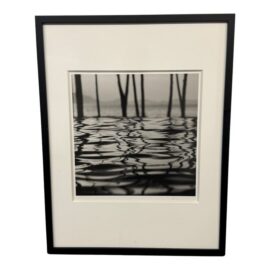 Michal Venera Twigs and Water Black & White Photograph, Framed