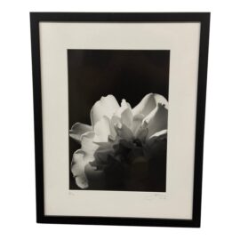 Jess Johnston Photograph, Framed. Original Price: $720