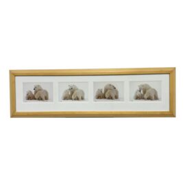 Thomas Mangelsen Images of Nature Collection of Polar Expressions Photography, Signed, Estimated Price: $2,000