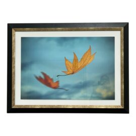 Thom Filicia for Soicher Marin Leaves in Motion Print, Framed