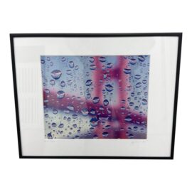 Craig Fonarow Raindrops Color Photograph, Signed
