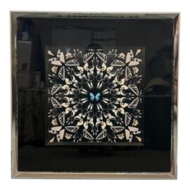 Laitan Home Decorations Butterfly Print Art Work, Framed