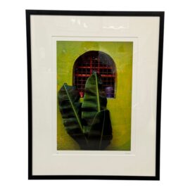 Jeffrey Becom Maya Color Chartreuse Ltd. Ed. Photograph, Signed