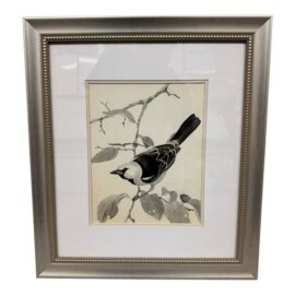 Larry Haines Loggerhead Shrike Series Bird Study Drawing, Framed