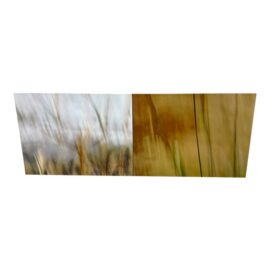 Contemporary Abstract Blurred Meadow Canvas Print