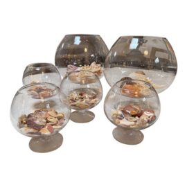 Coastal Glass Bowls + Seashells, Set of Six