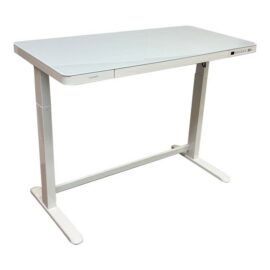Flexispot Electric Standing Desk. Original Price: $400