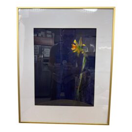 Isabel Wyatt Midnight Daffodil Original Painting, Signed